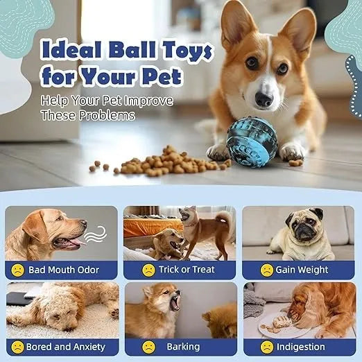 4-in-1 Dog Treat Puzzle Ball Toy – Frozen Treat Dispenser & Chew Toy for Small & Medium Dogs