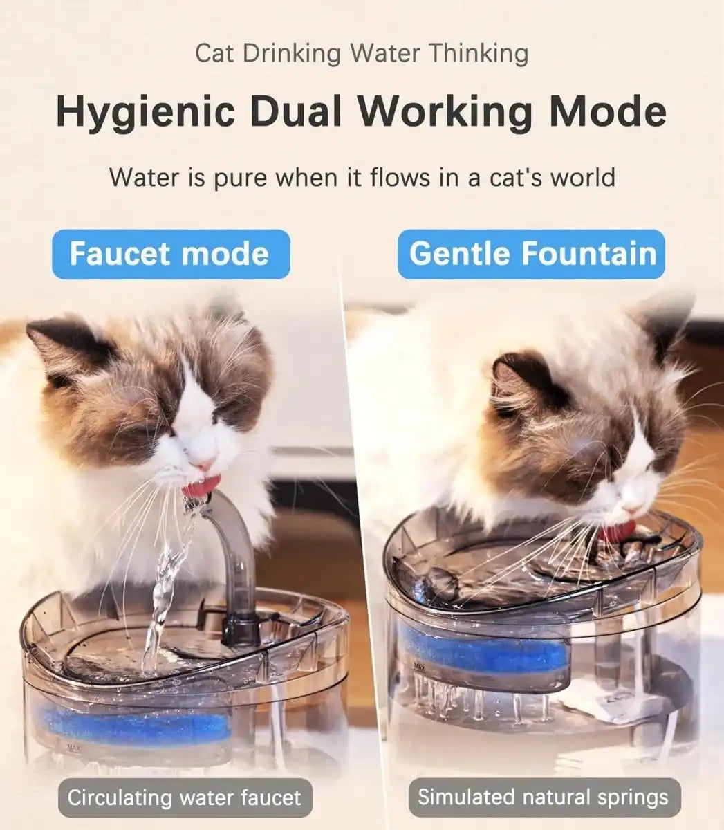 Automatic Cat Water Fountain with Water Level Window & Filter System