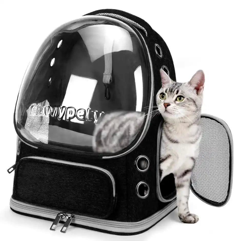 Bubble Dogs & Cat Backpack-Transparent Pet Bag (Set of 1)