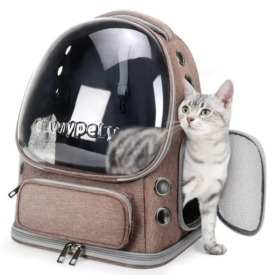 Bubble Dogs & Cat Backpack-Transparent Pet Bag (Set of 1)