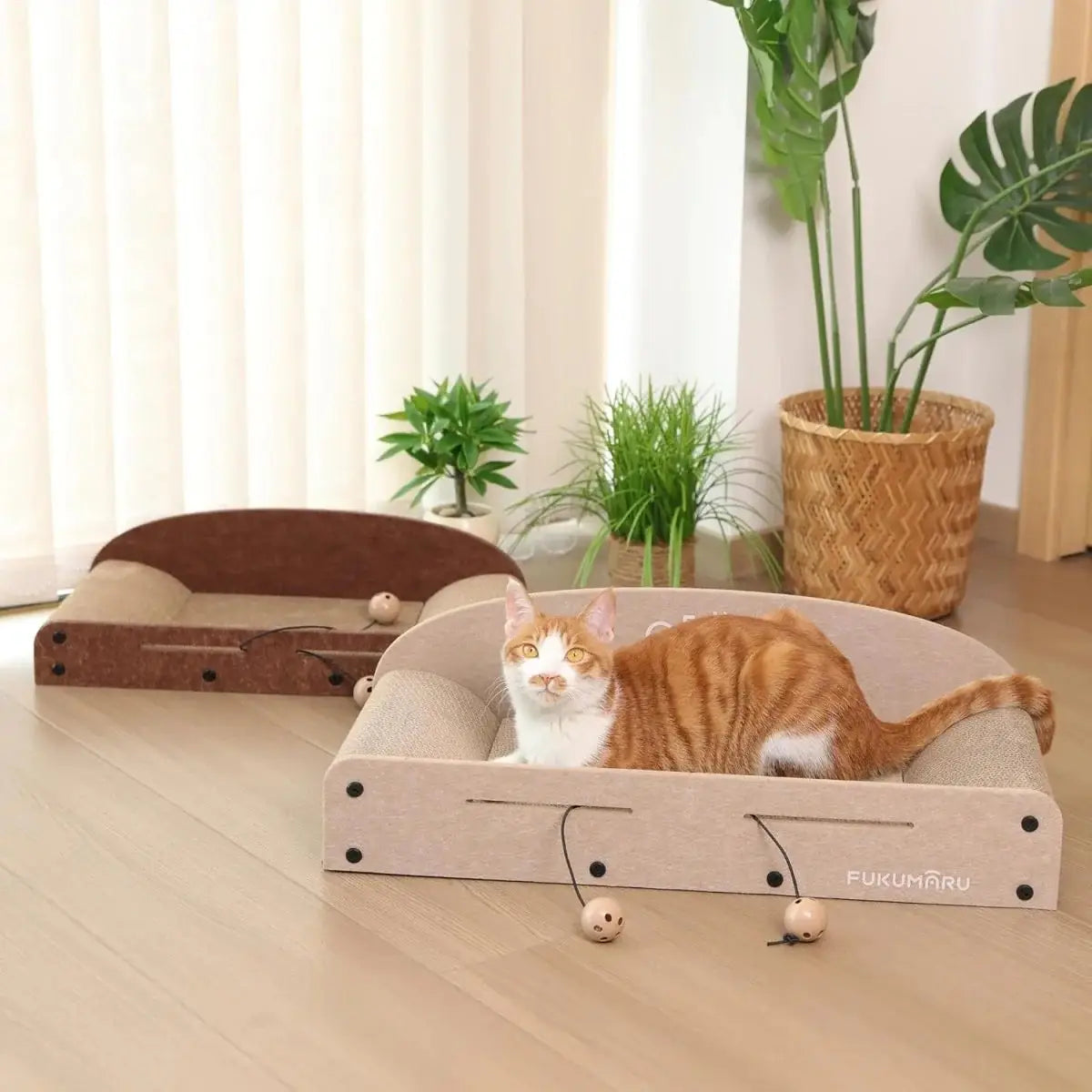 Cat Scratcher Sofa Bed-Lounger & Claw Care (Set of 1)