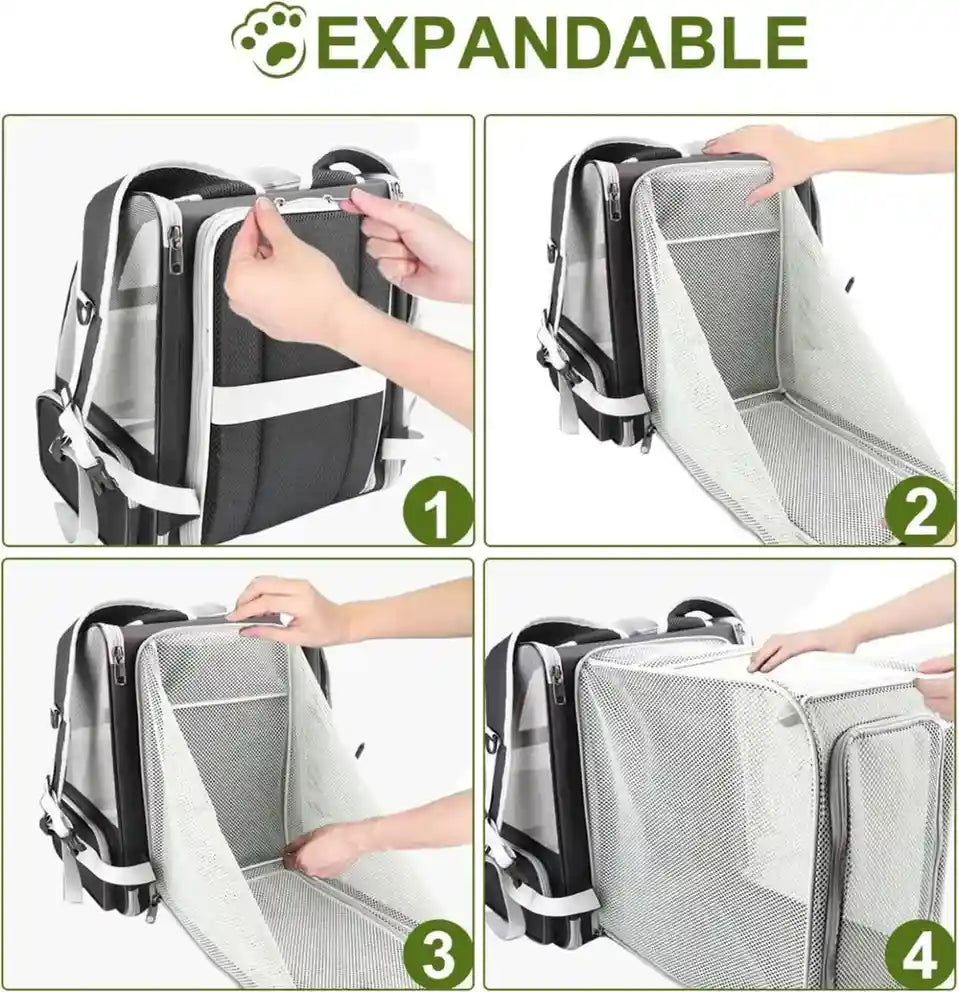 Expandable Cat Backpack Travel Bag (Set of 1)