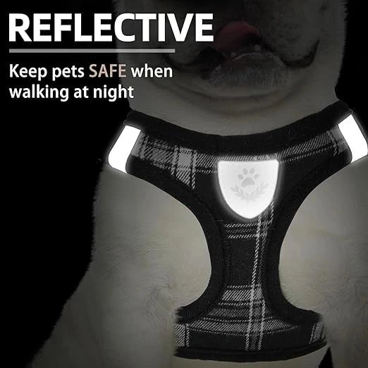 Breathable Mesh Dog Harness India – No-Pull Adjustable Vest