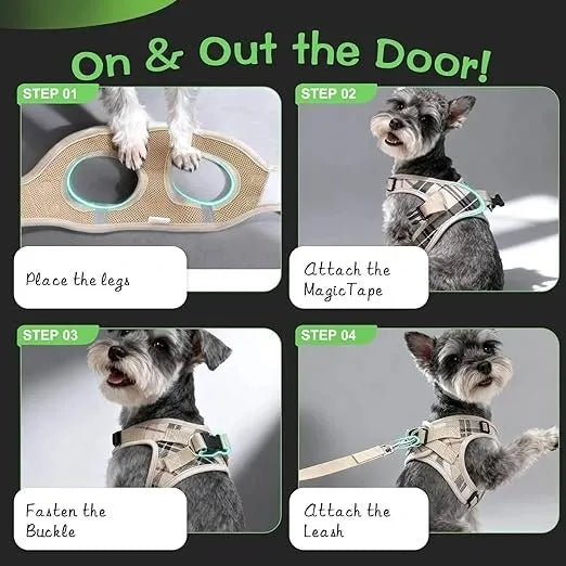 Breathable Mesh Dog Harness India – No-Pull Adjustable Vest