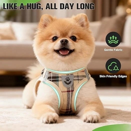Breathable Mesh Dog Harness India – No-Pull Adjustable Vest