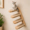 Sturdy wooden wall-mounted cat climbing shelf installed on a living room wall with a cat lounging safely.