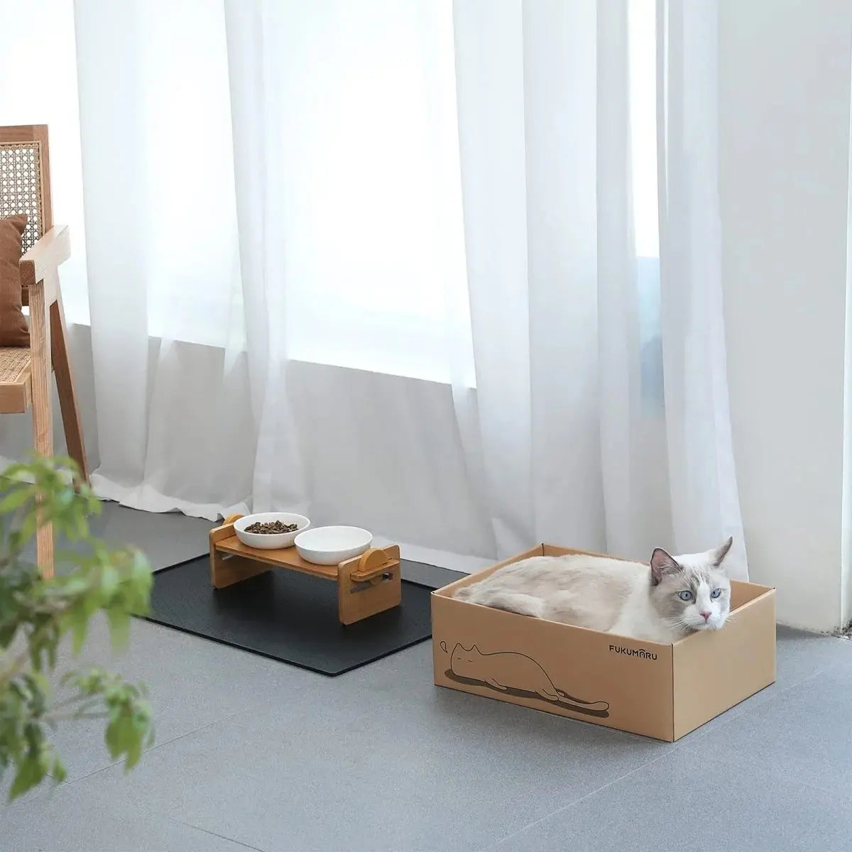 Cardboard cat scratcher house in a bright living room beside a curtain