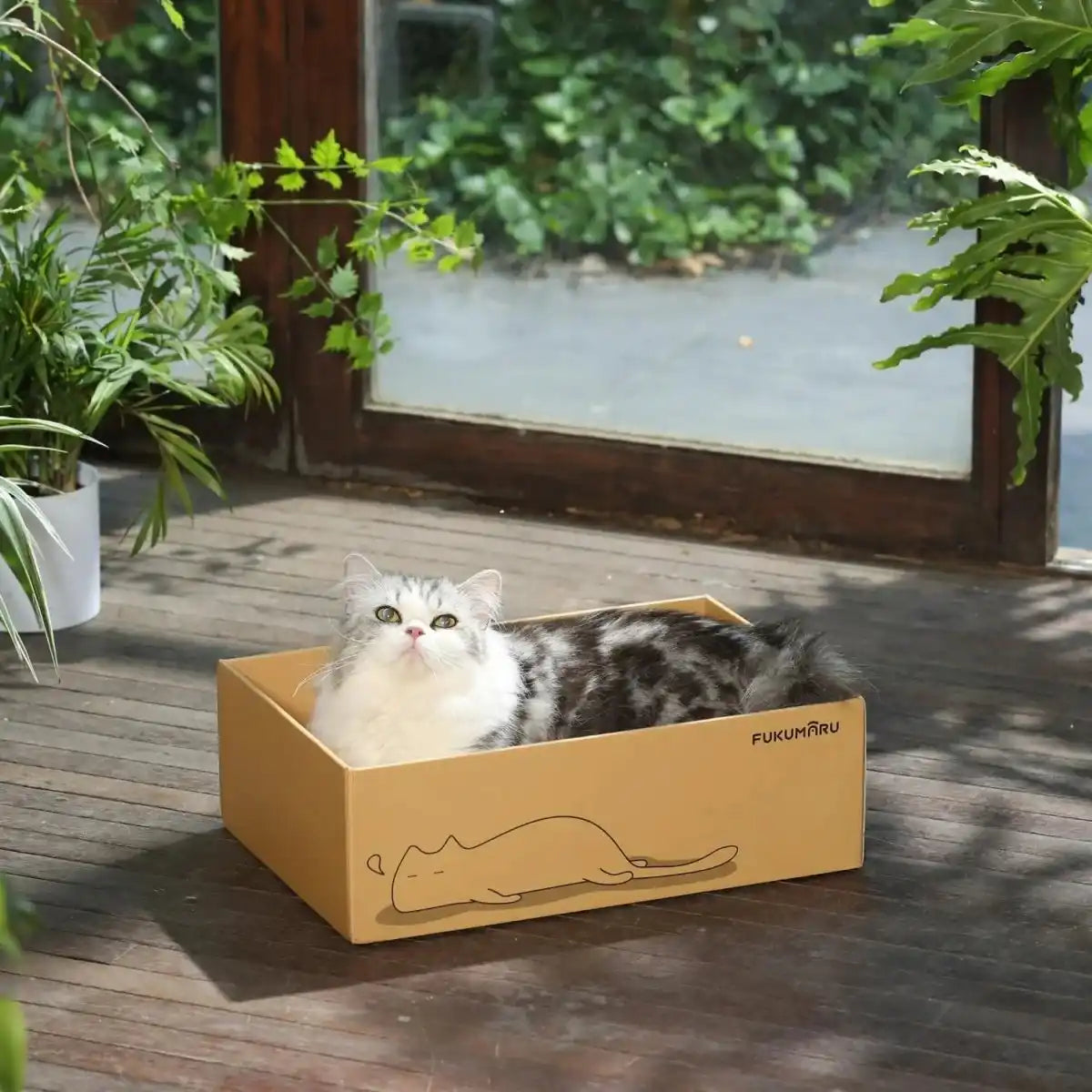 Cat Scratcher 5 Pieces Board Box – Durable Set (Set of 1)