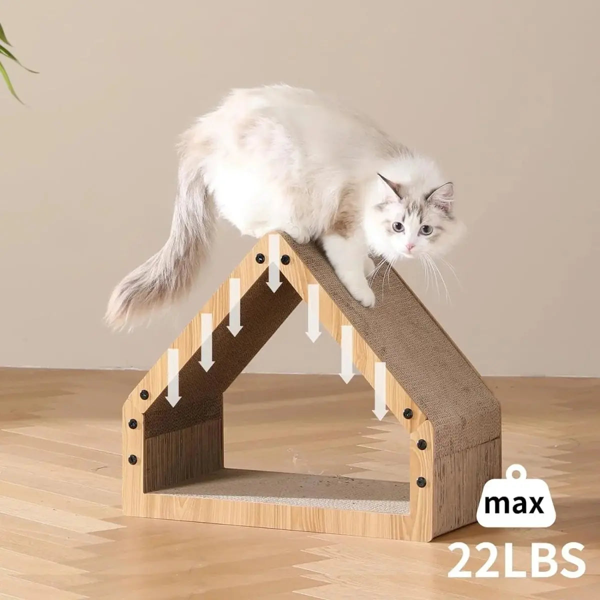 White cat climbing on top of the cardboard cat scratcher house, rated to 22 pounds