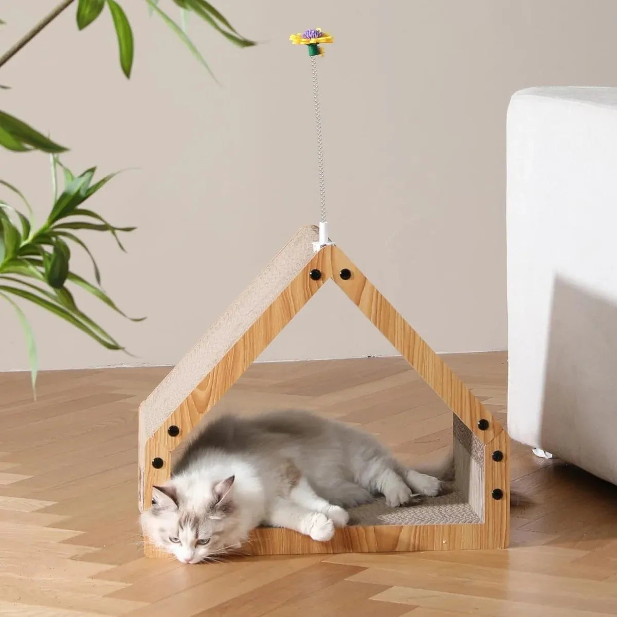 Cat lying inside the cardboard cat scratcher house beside a houseplant