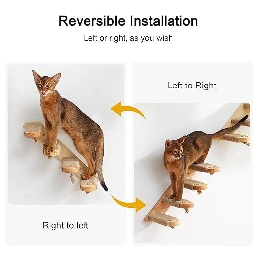 Cat Wall Shelf India – Fukumaru Mounted Climbing Activity