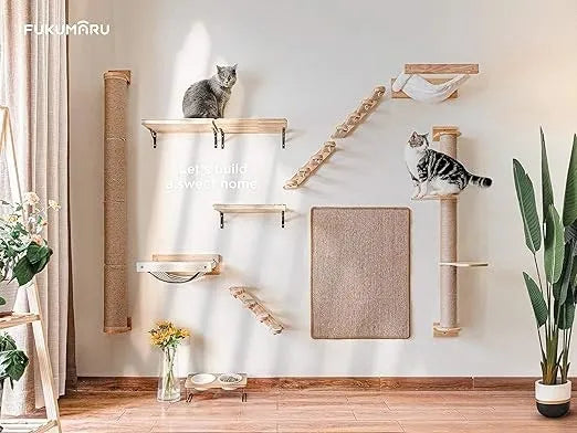 Cat Wall Shelf India – Fukumaru Mounted Climbing Activity