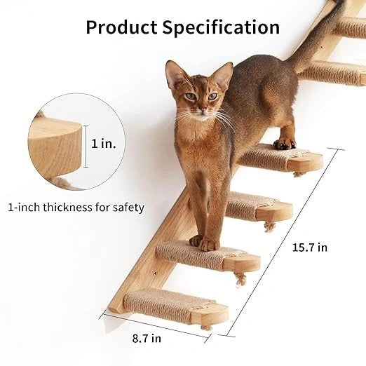 Cat Wall Shelf India – Fukumaru Mounted Climbing Activity