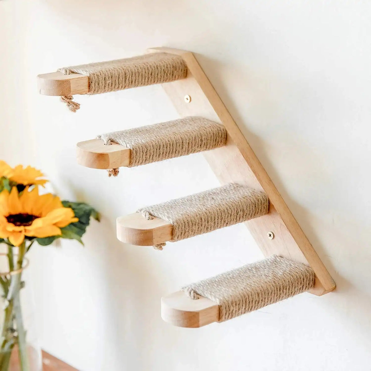 Cat Wall Shelf India – Fukumaru Mounted Climbing Activity