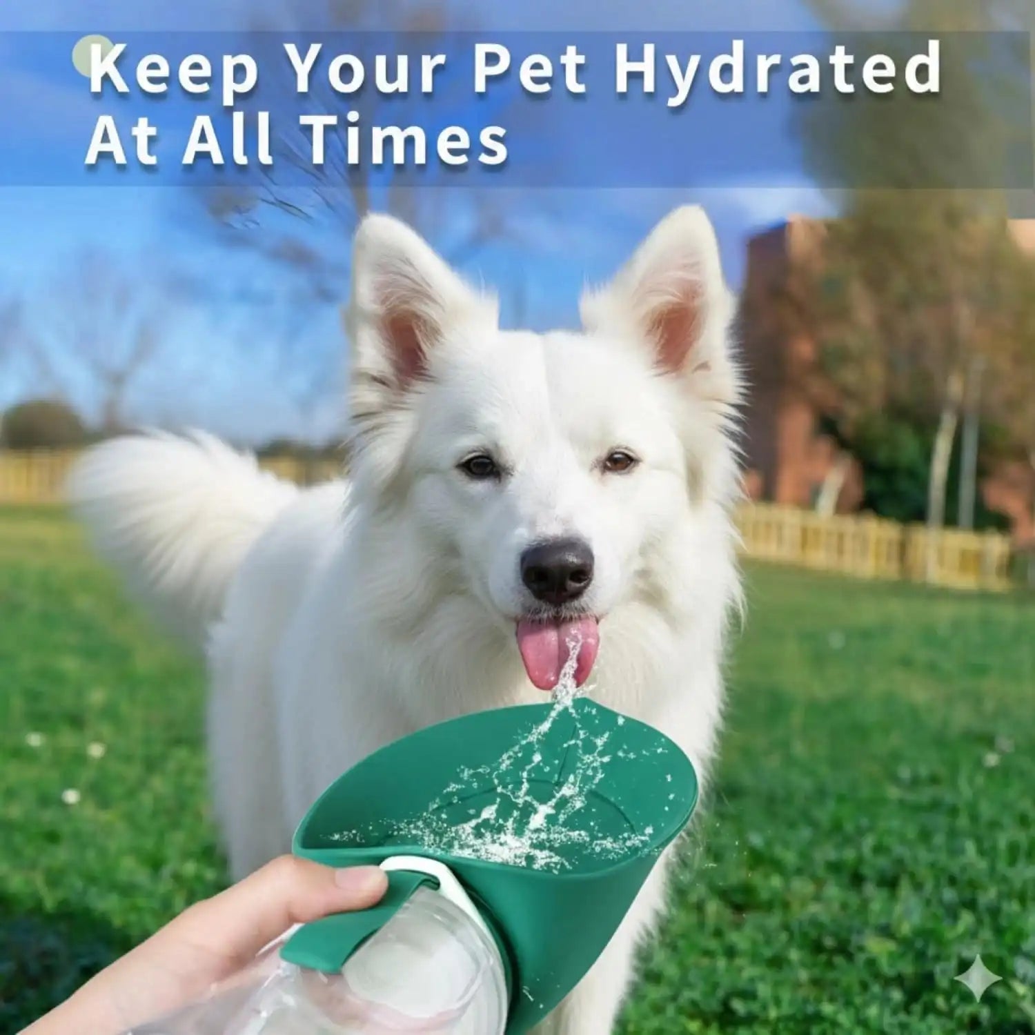 Foldable Dog Water Bottle – Portable Pet Water Bottle for Dogs & Cats Outdoor Walking Hiking Travel