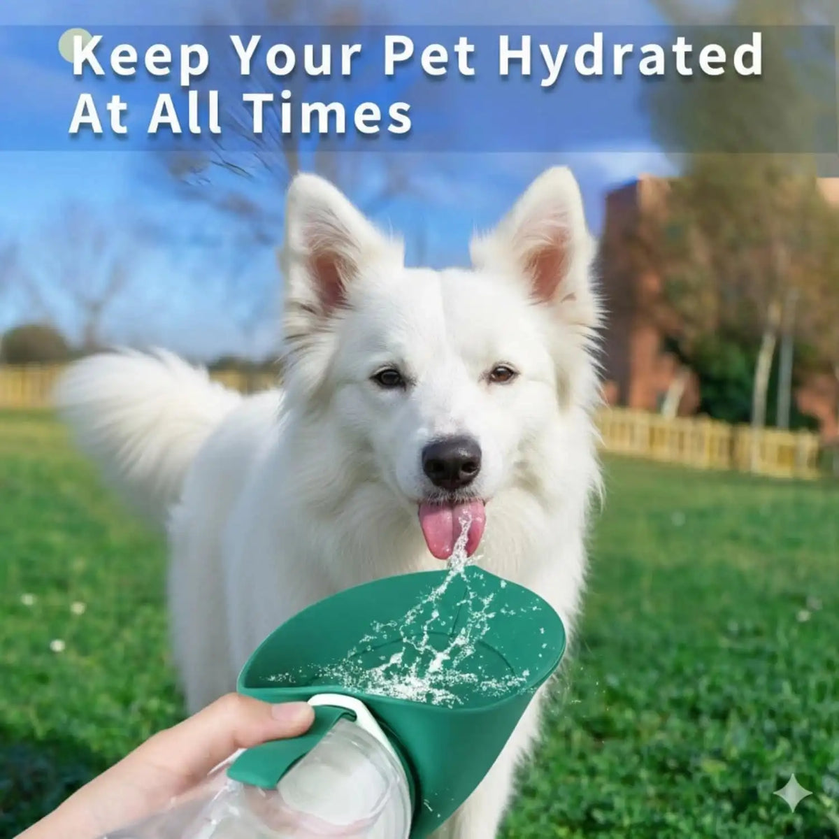 Foldable Dog Water Bottle – Portable Pet Water Bottle for Dogs & Cats Outdoor Walking Hiking Travel