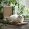 L-Shape Cat Scratcher-Furniture Protector & Bed (Set of 1)