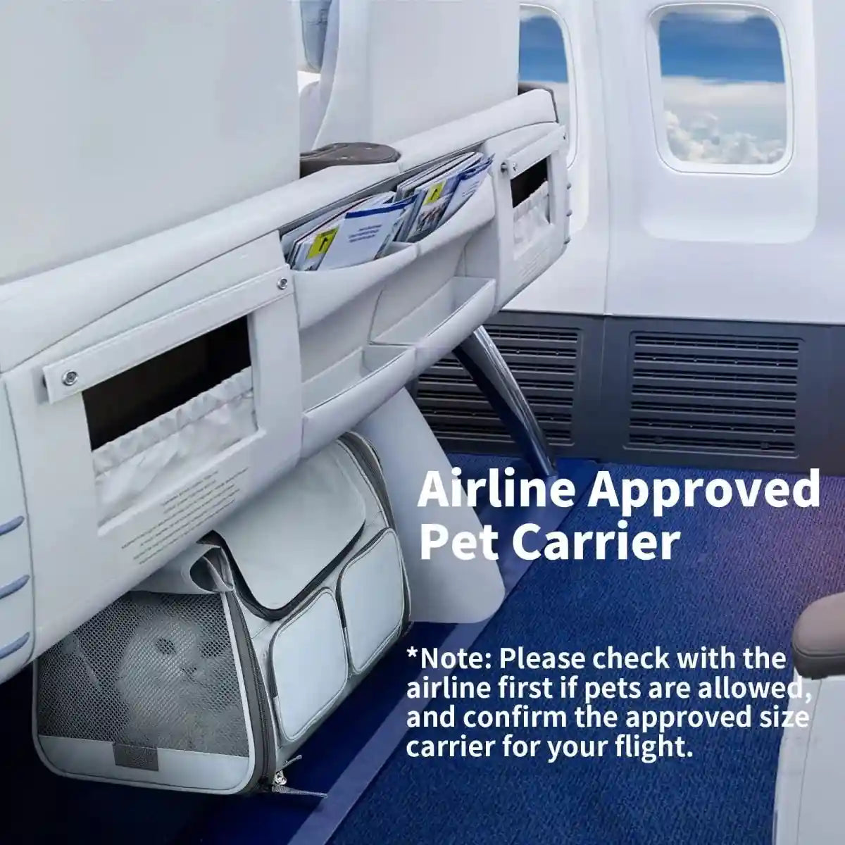 Pet Carrier Bag – Travel & Outdoor Breathable Case (Set of 1)