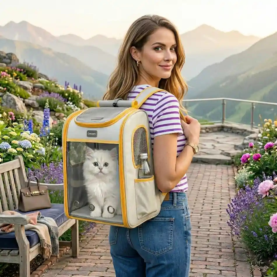 A transparent cat carrier designed for clear visibility and secure pet travel.